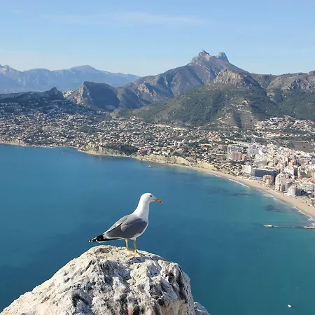Bahia Alicante